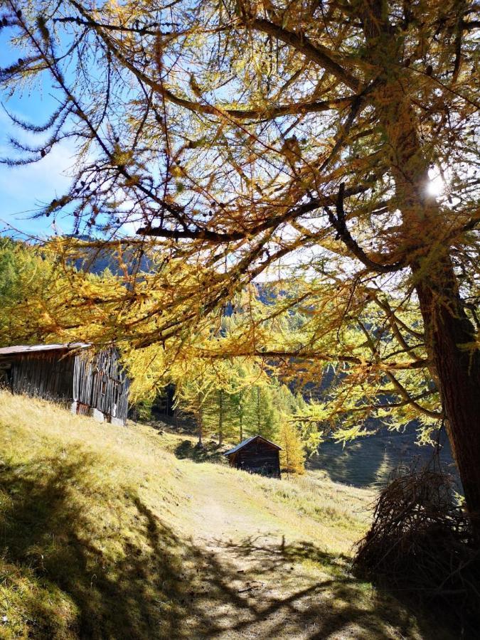 Chalet Le Trient Buitenkant foto