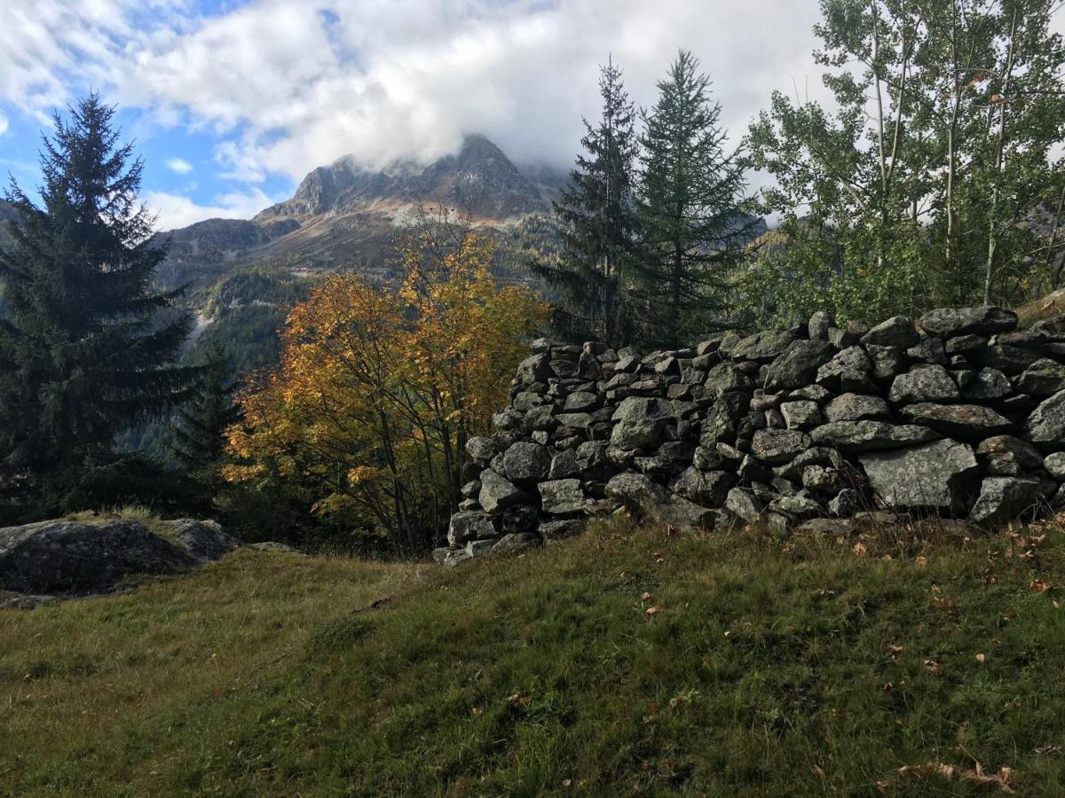 Chalet Le Trient Buitenkant foto
