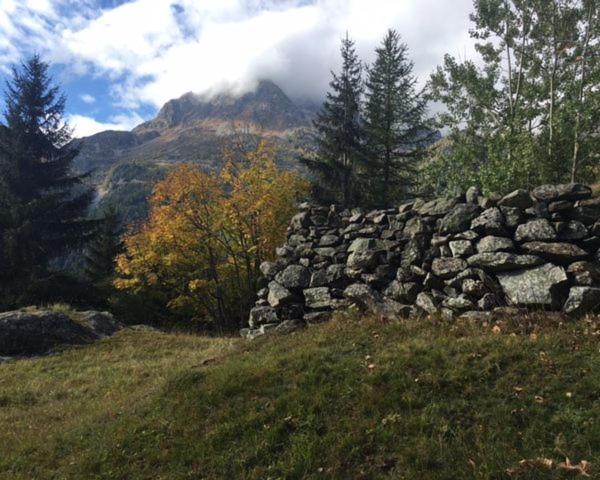 Chalet Le Trient Buitenkant foto