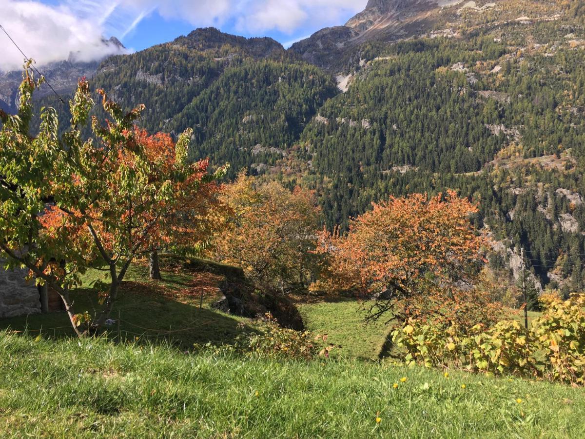 Chalet Le Trient Buitenkant foto