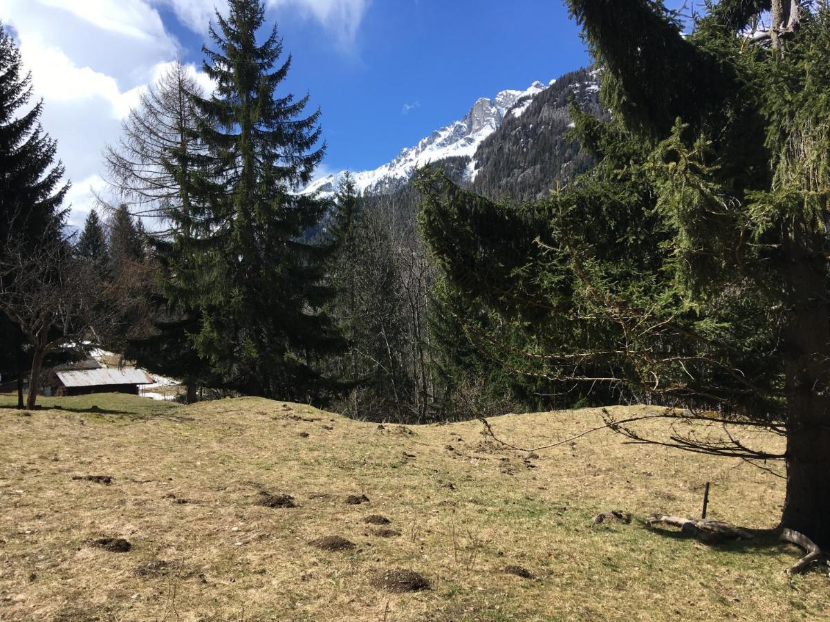 Chalet Le Trient Buitenkant foto