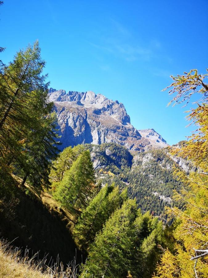 Chalet Le Trient Buitenkant foto